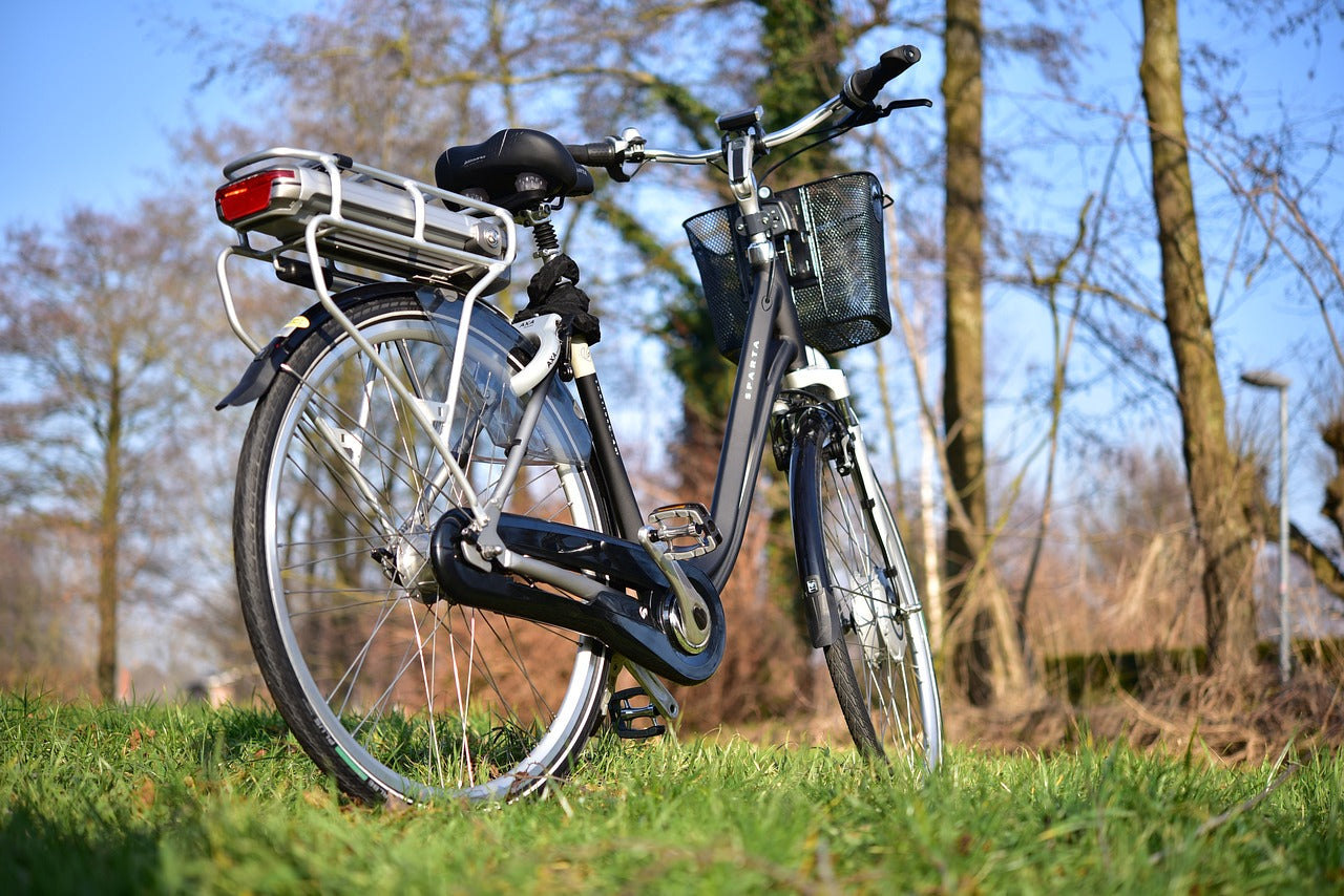 Classic Style Electric Bikes