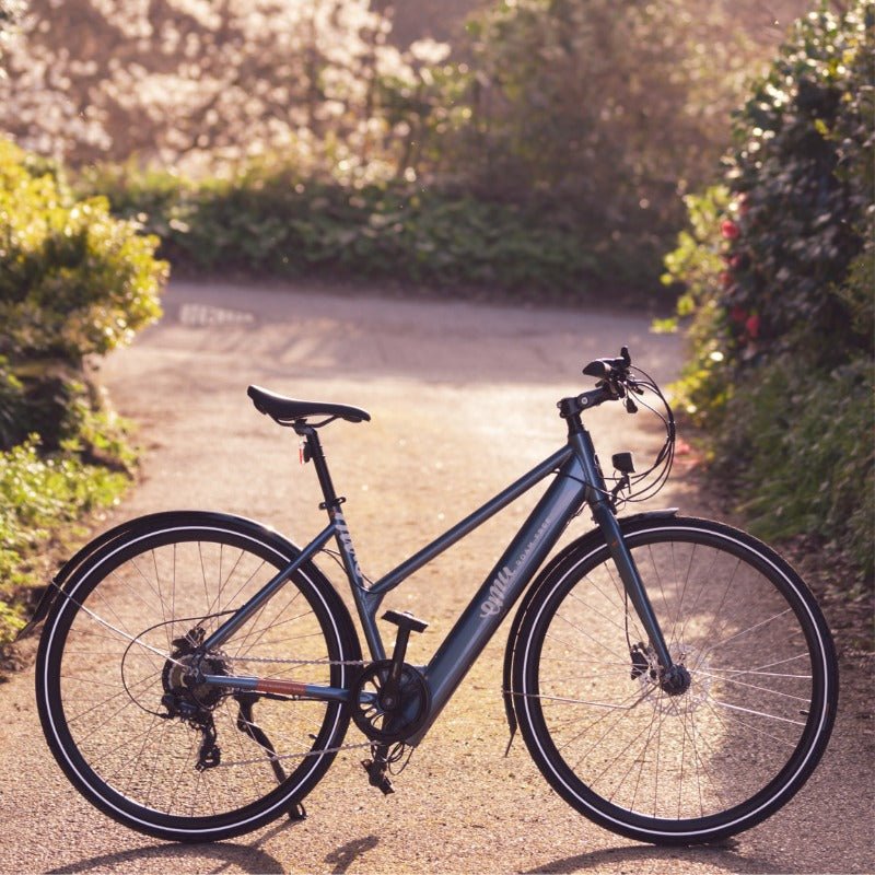 Emu Evo Step Through Electric Bike 250 Motor - JJ Adams Bikes