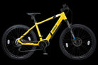 Scrambler C 430 Black E-Bike - JJ Adams Bikes